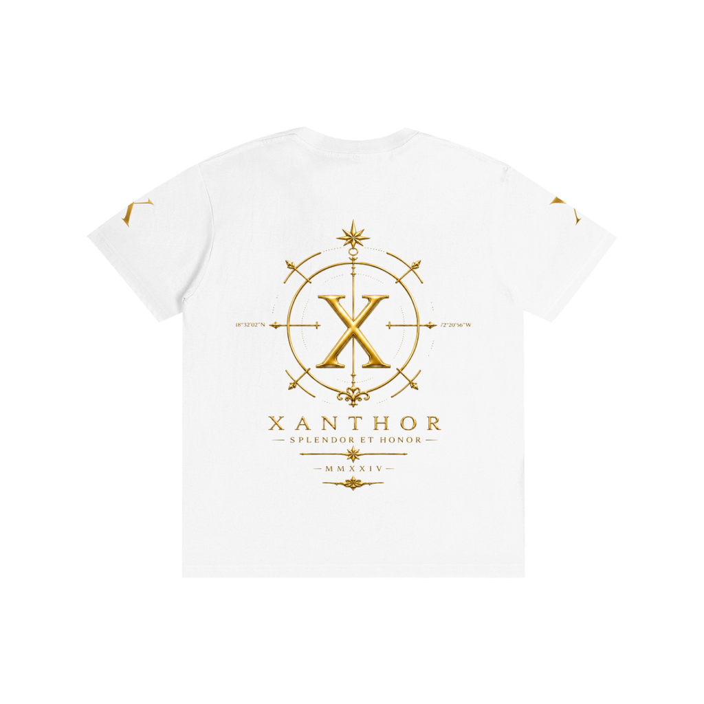 xanthor,Baumwolle,tshirt,basic,essential,unisex,streetwear,premium,alltag,sommer